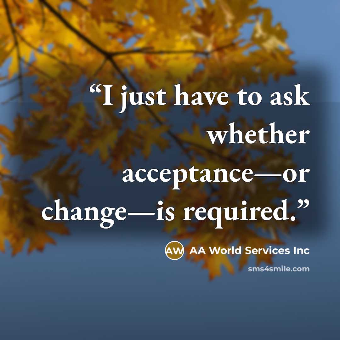 “I just have to ask whether acceptance—or change—is required.” quote by AA World Services Inc
