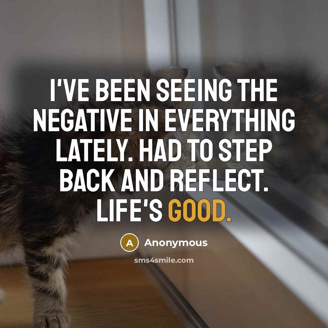 “I've been seeing the negative in everything lately. Had to step back and reflect. Life's good.” quote by Anonymous