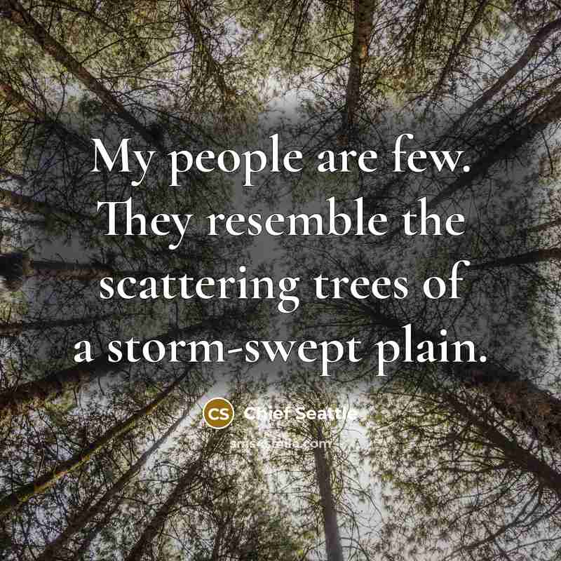 “My people are few. They resemble the scattering trees of…” quote by Chief Seattle