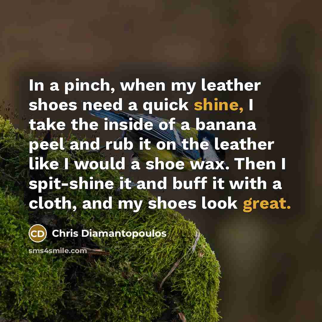 “In a pinch, when my leather shoes need a quick…” quote by Chris Diamantopoulos