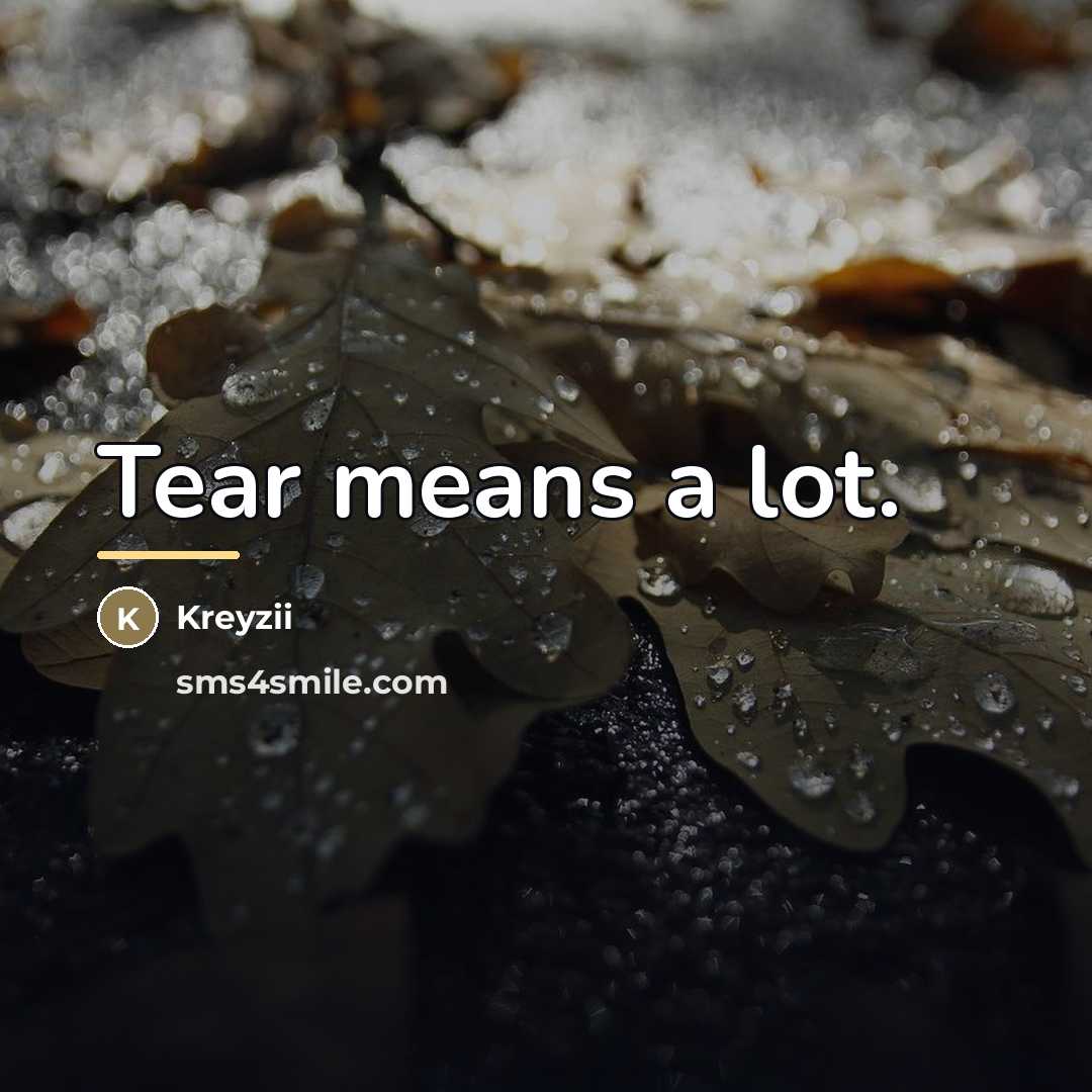 “Tear means a lot.…” quote by Kreyzii