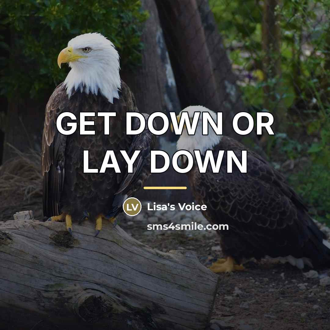 “GET DOWN OR LAY DOWN…” quote by Lisa's Voice
