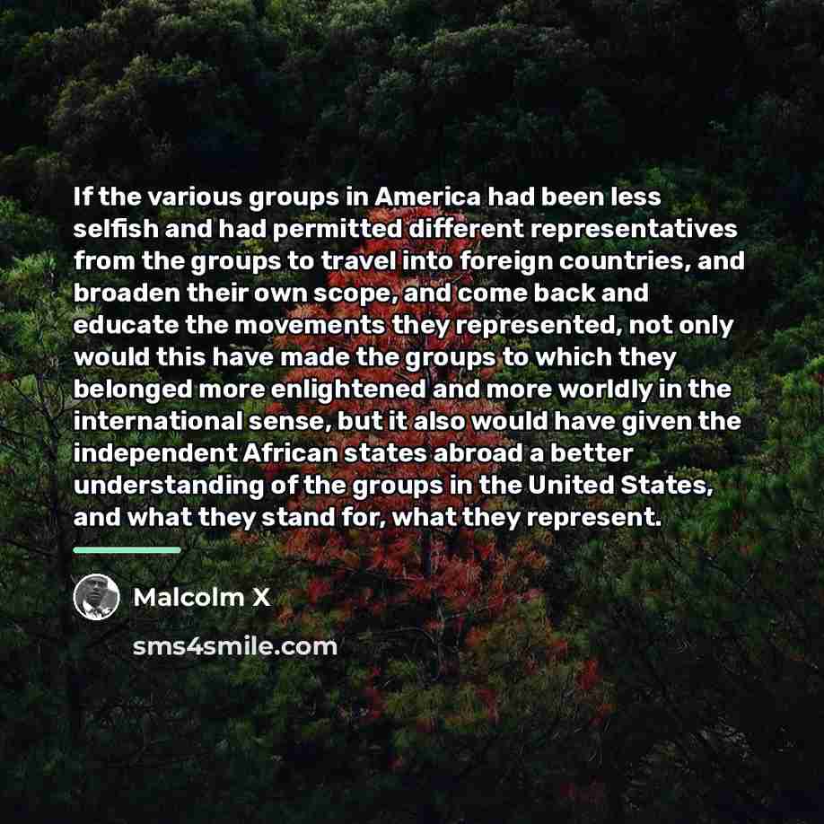 “If the various groups in America had been less selfish…” quote by Malcolm X