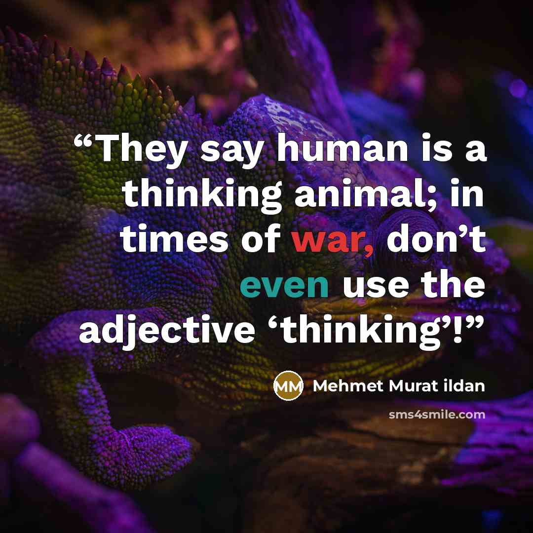 “They say human is a thinking animal; in times of war, don’t even use the adjective ‘thinking’!” quote by Mehmet Murat ildan