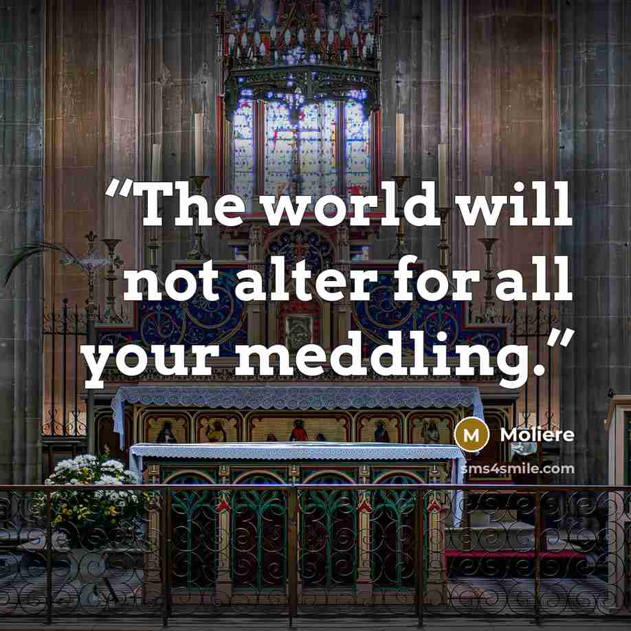 “The world will not alter for all your meddling.” quote by Molière