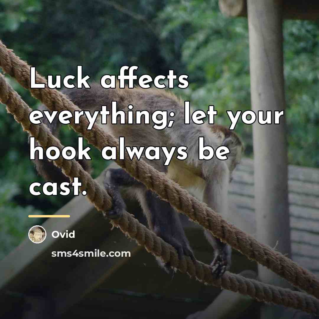 “Luck affects everything; let your hook always be cast.…” quote by Ovid