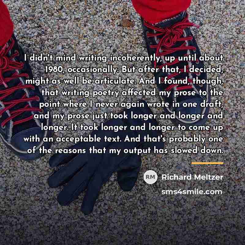 “I didn't mind writing incoherently, up until about 1980, occasionally.…” quote by Richard Meltzer