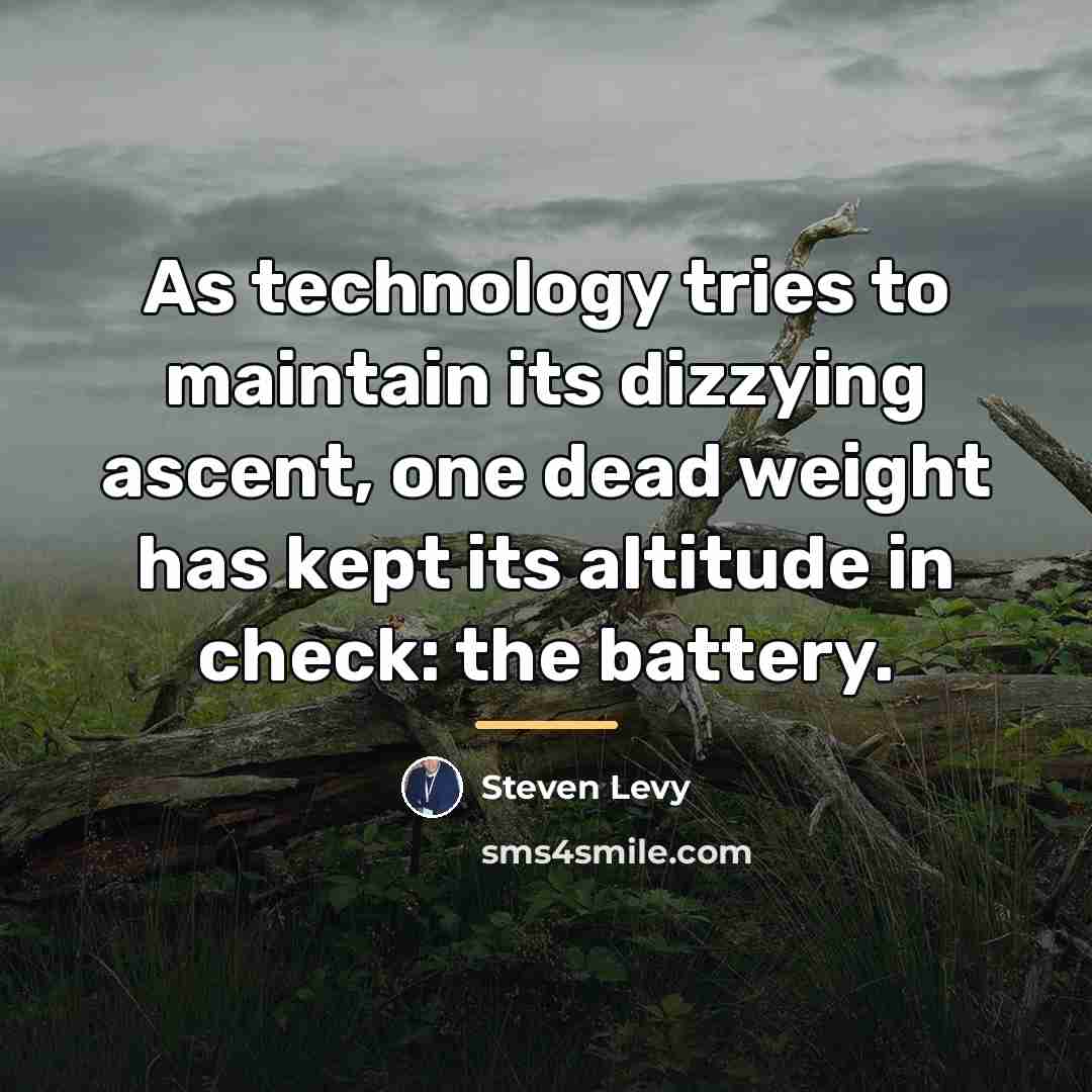 “As technology tries to maintain its dizzying ascent, one dead…” quote by Steven Levy