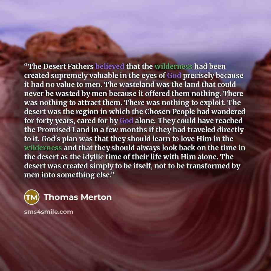 “The Desert Fathers believed that the wilderness had been created supremely valuable in the eyes of God precisely because it had no value to men. The wasteland was the land that could never be wasted by men because it offered them nothing. There was nothing to attract them. There was nothing to…” quote by Thomas Merton