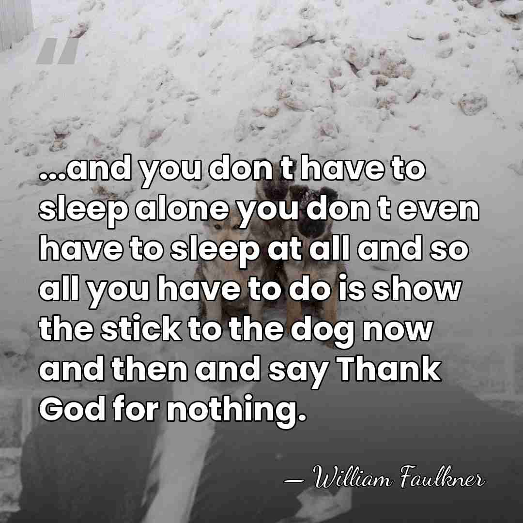 ...and you don t have to sleep alone you don t even&hellip; - William Faulkner