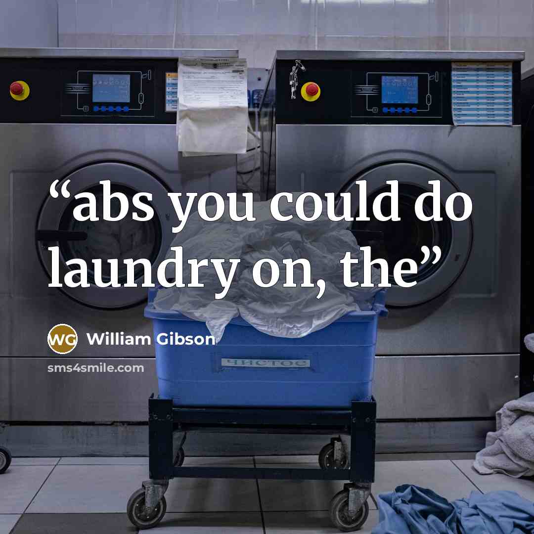 “abs you could do laundry on, the” quote by William Gibson