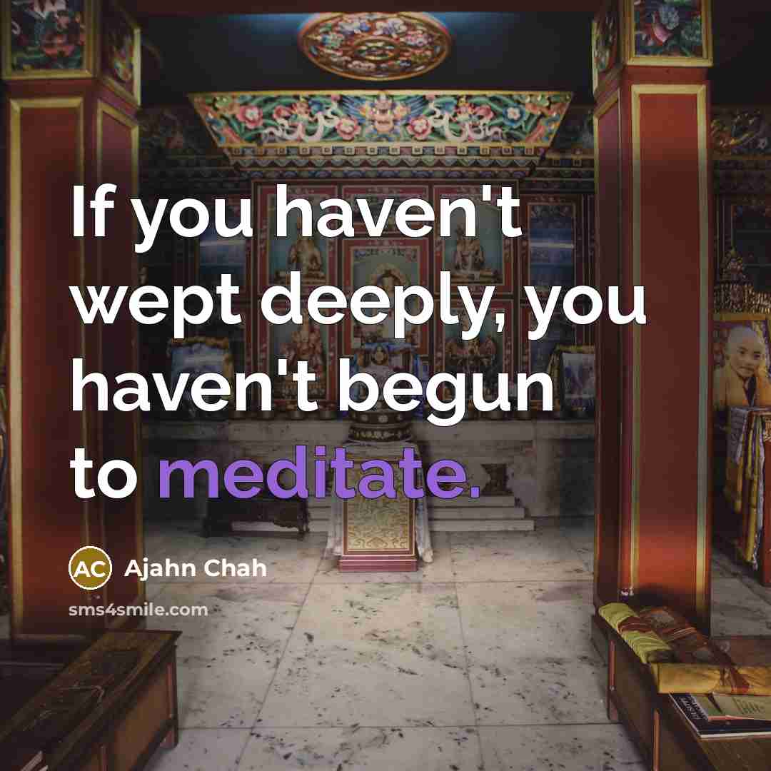 “If you haven't wept deeply, you haven't begun to meditate.…” quote by Ajahn Chah