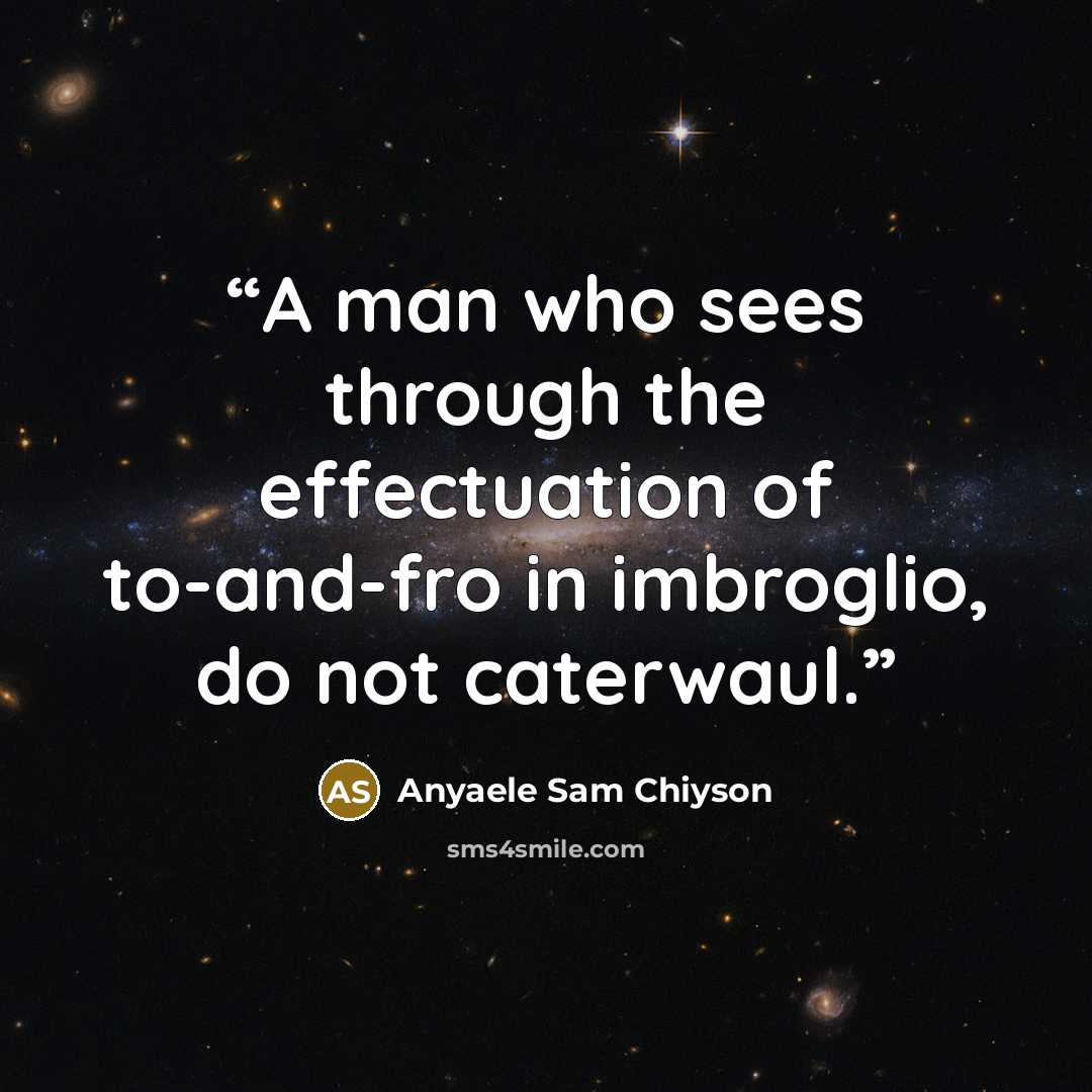 “A man who sees through the effectuation of to-and-fro in imbroglio, do not caterwaul.” quote by Anyaele Sam Chiyson