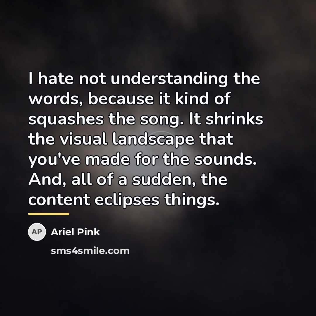 “I hate not understanding the words, because it kind of…” quote by Ariel Pink