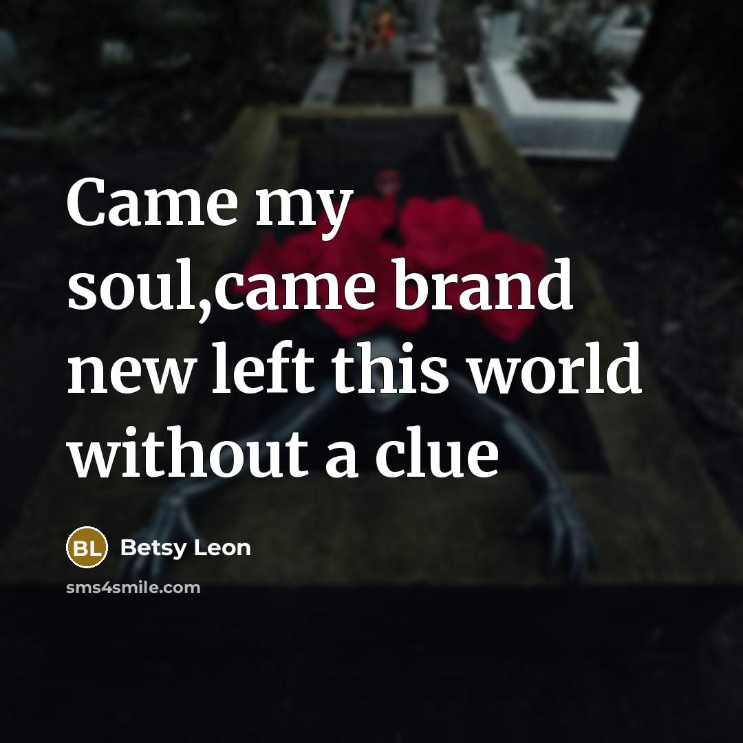 “Came my soul,came brand new left this world without a…” quote by Betsy Leon