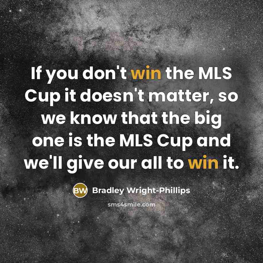 “If you don't win the MLS Cup it doesn't matter,…” quote by Bradley Wright-Phillips