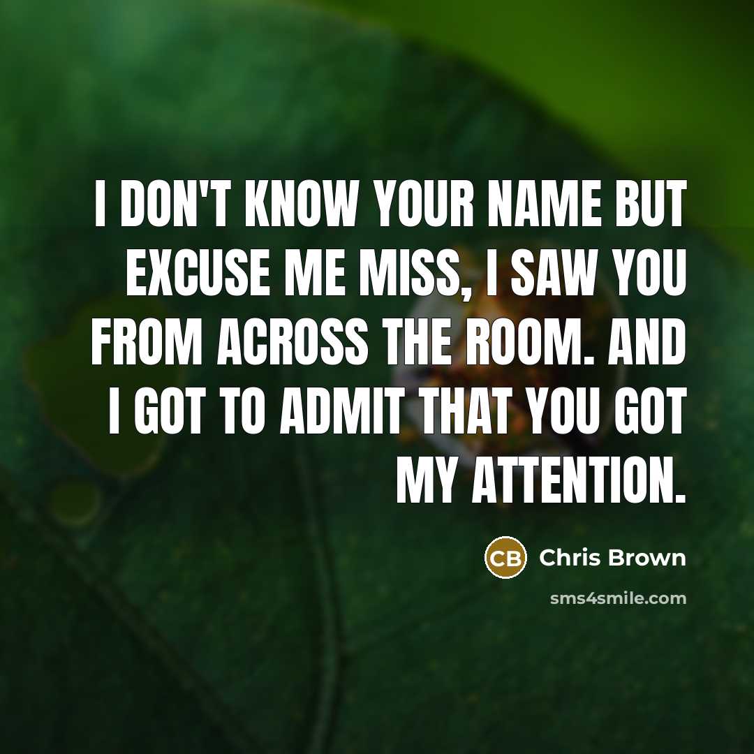 “I don't know your name but excuse me miss, I…” quote by Chris Brown