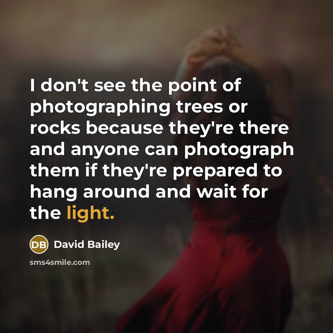 “I don't see the point of photographing trees or rocks…” quote by David Bailey