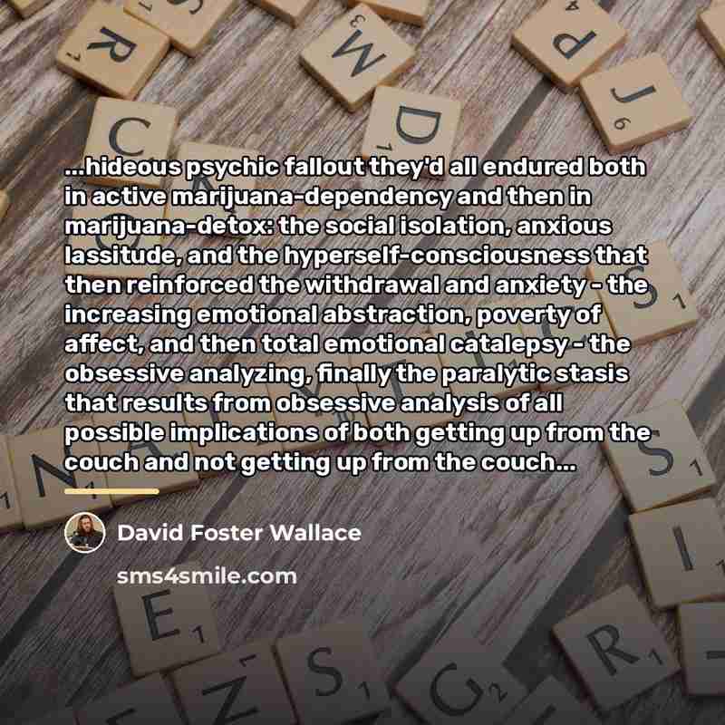 “...hideous psychic fallout they'd all endured both in active marijuana-dependency…” quote by David Foster Wallace