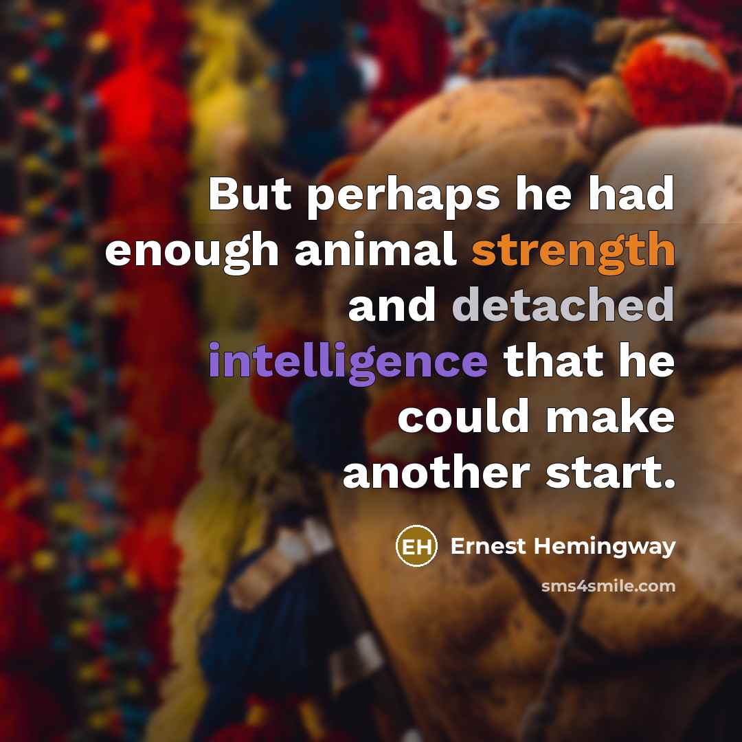 “But perhaps he had enough animal strength and detached intelligence…” quote by Ernest Hemingway