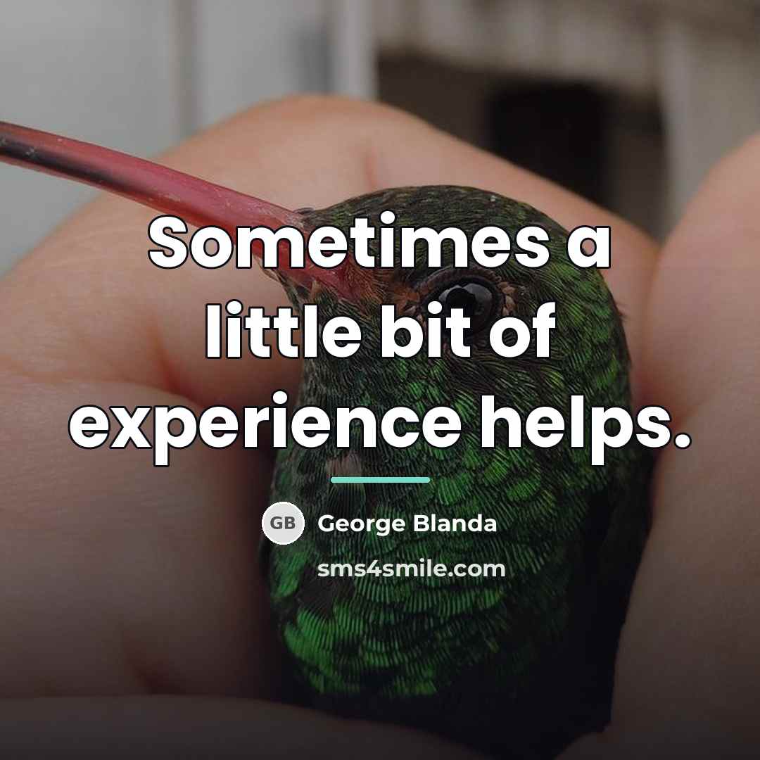 “Sometimes a little bit of experience helps.…” quote by George Blanda