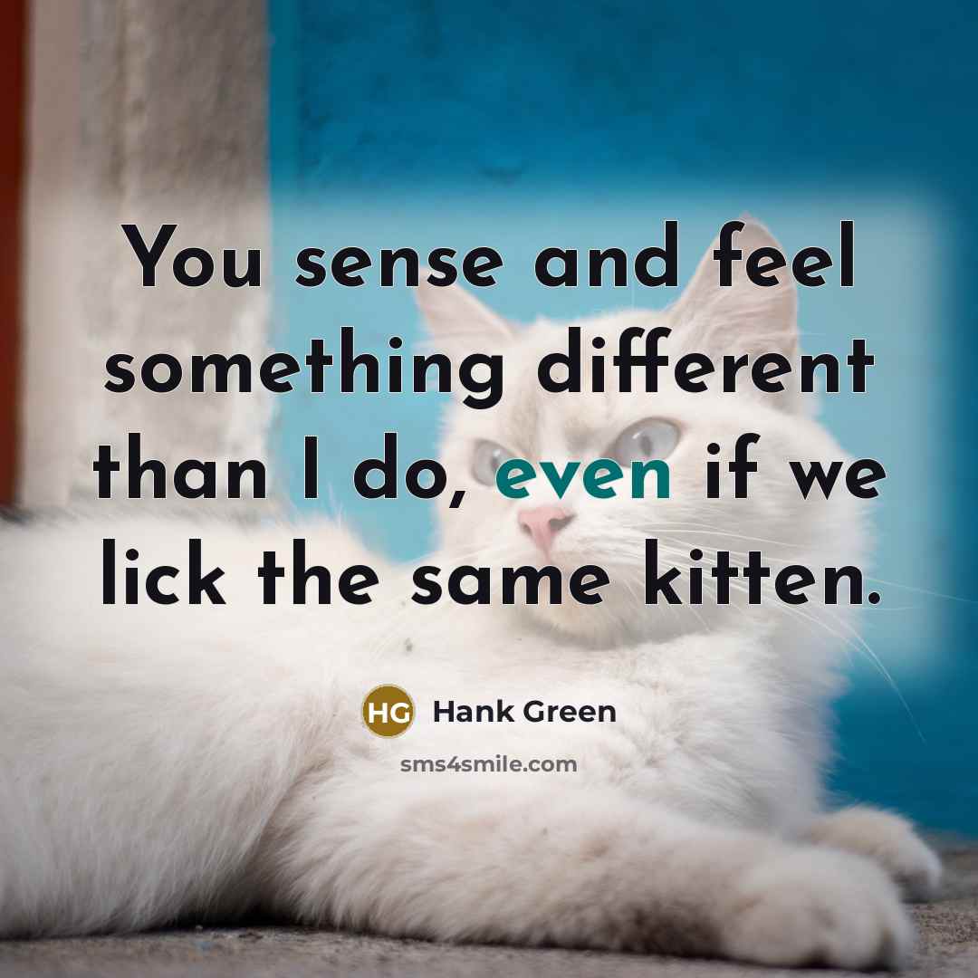 “You sense and feel something different than I do, even if we lick the same kitten.” quote by Hank Green