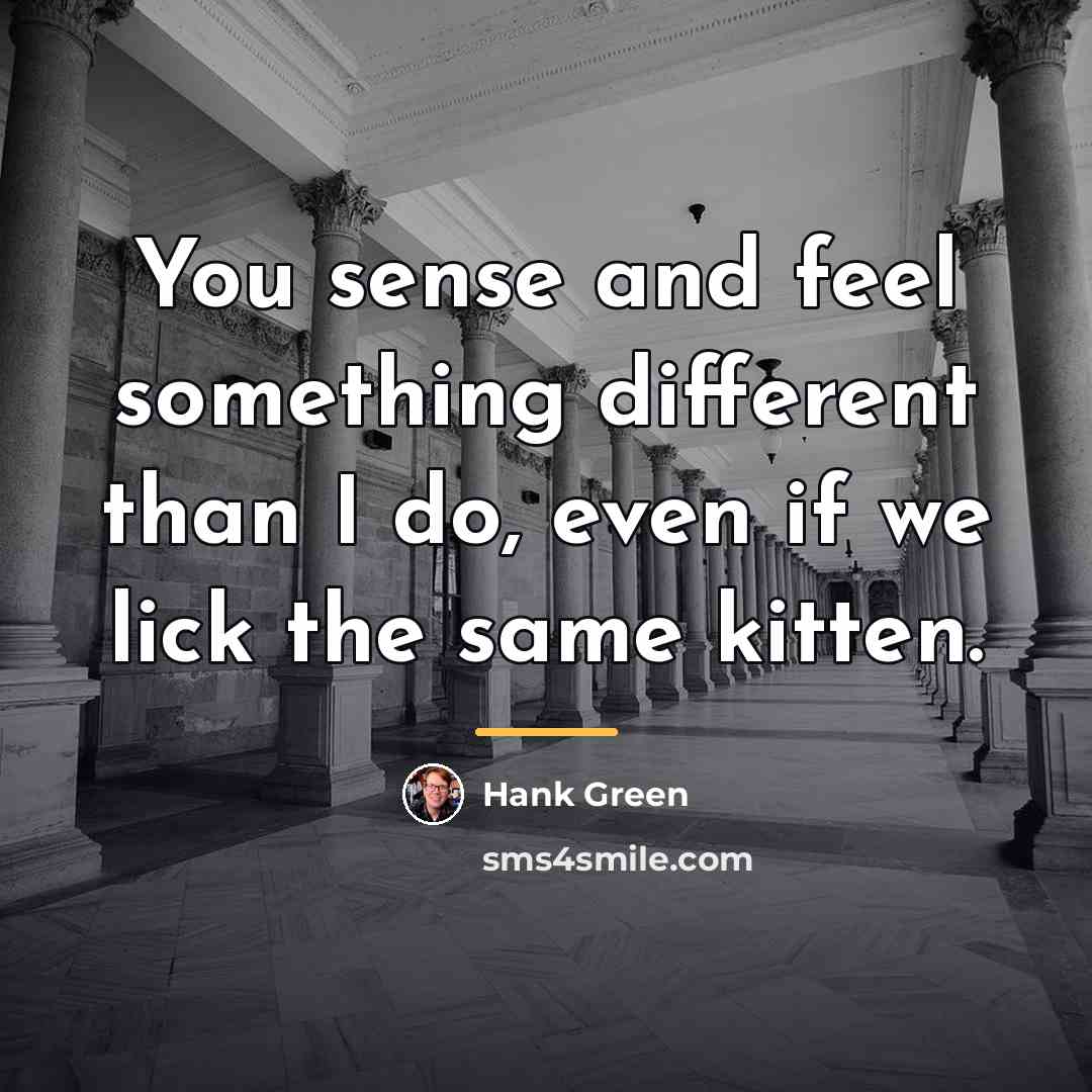 “You sense and feel something different than I do, even…” quote by Hank Green