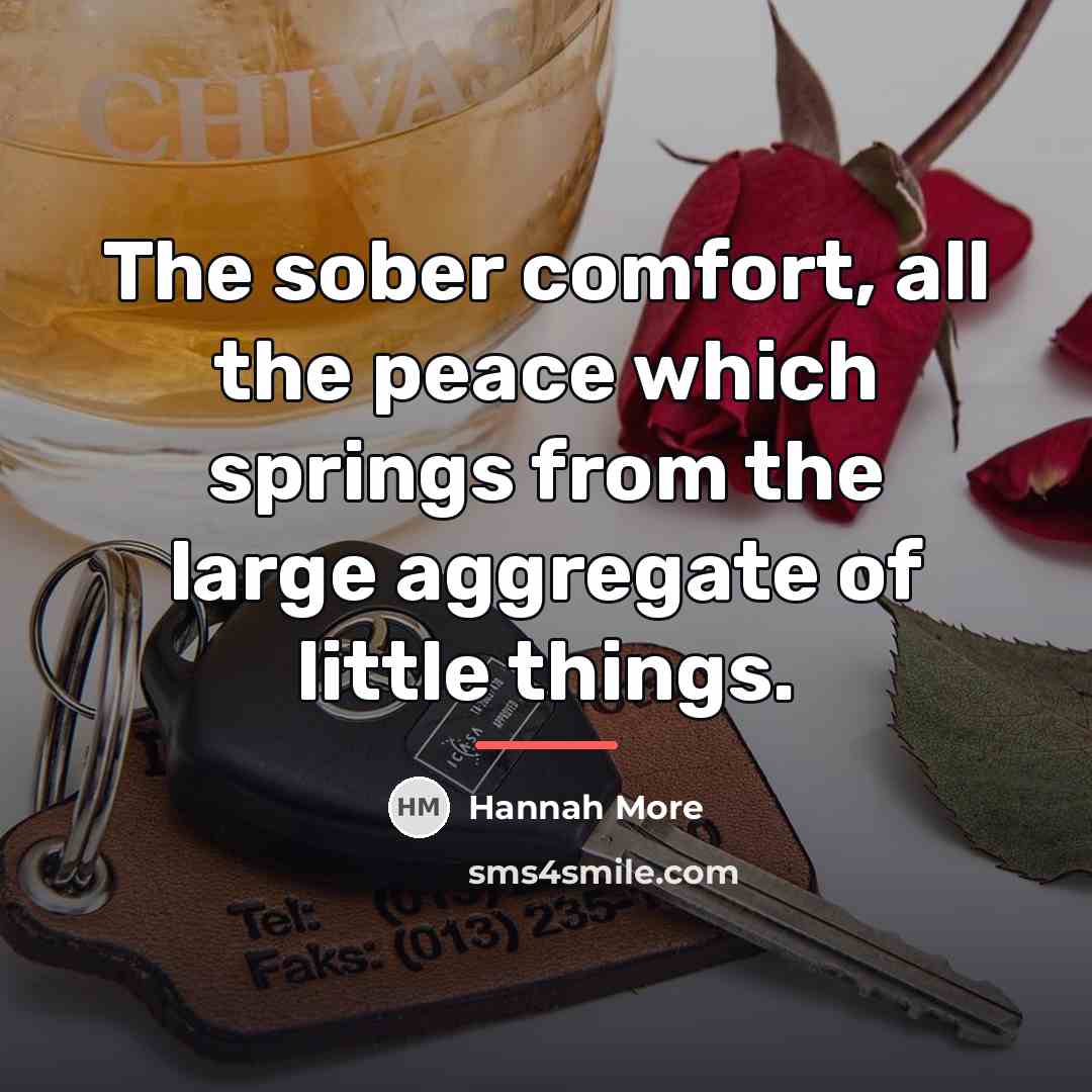 “The sober comfort, all the peace which springs from the…” quote by Hannah More