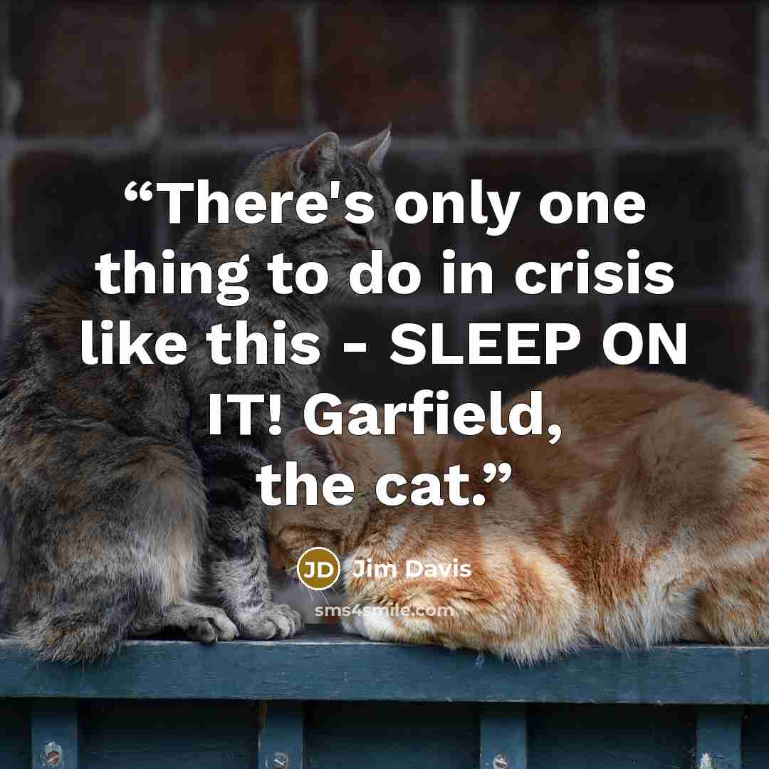 “There's only one thing to do in crisis like this - SLEEP ON IT! Garfield, the cat.” quote by Jim Davis