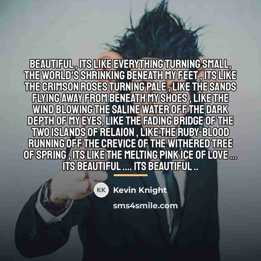 “Beautiful , Its like everything turning small, The world's shrinking…” quote by Kevin Knight