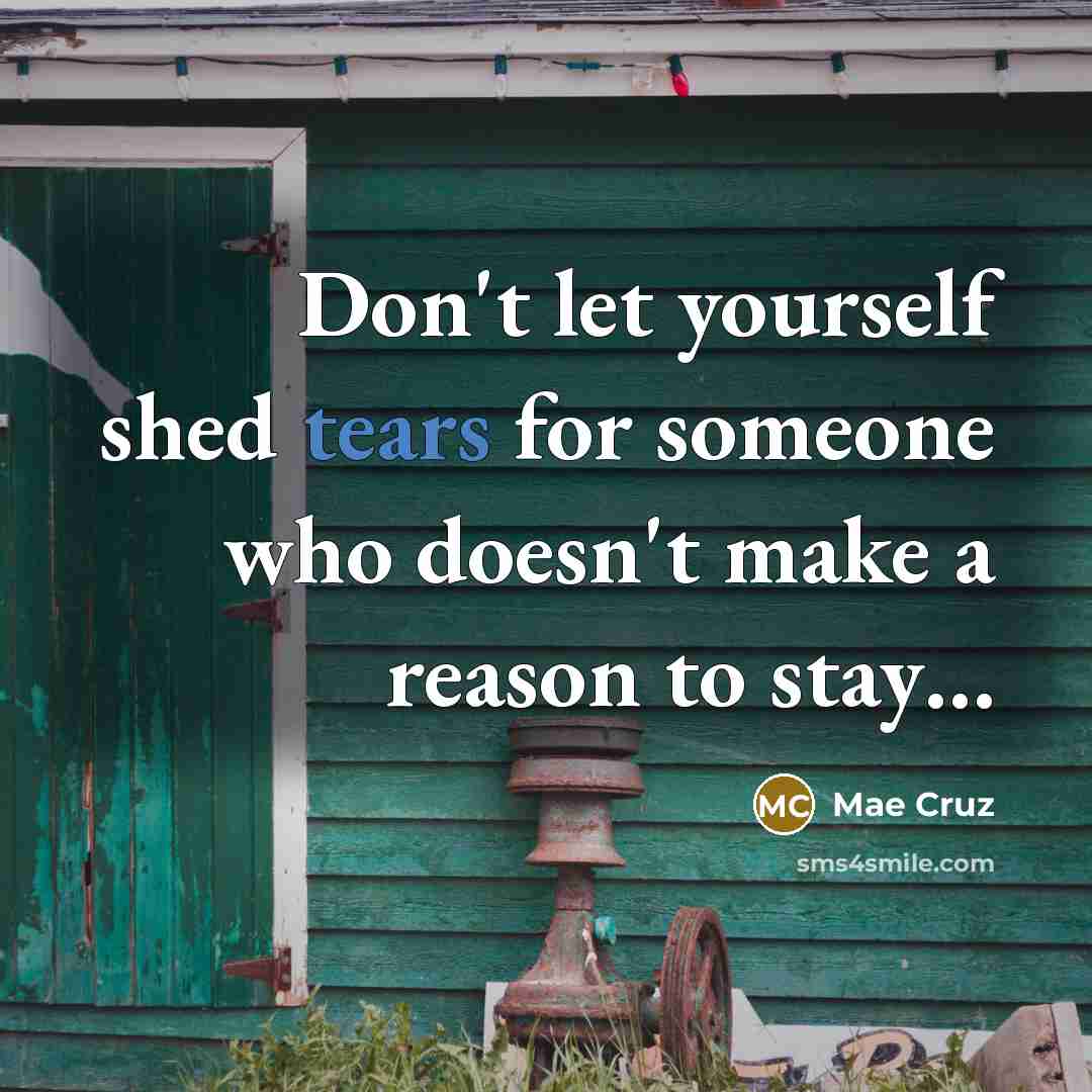 “Don't let yourself shed tears for someone who doesn't make a reason to stay…” quote by Mae Cruz