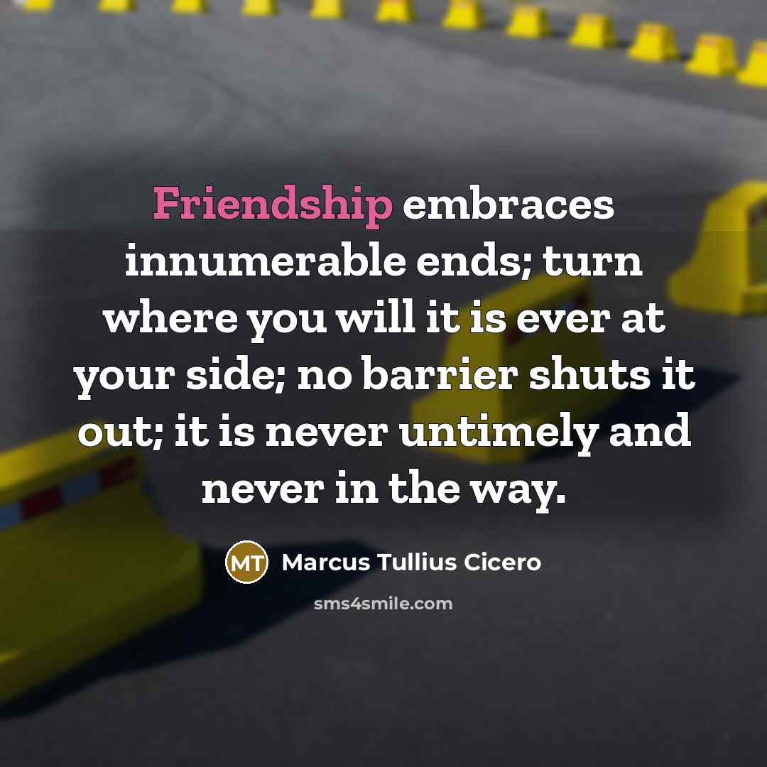 “Friendship embraces innumerable ends; turn where you will it is…” quote by Marcus Tullius Cicero