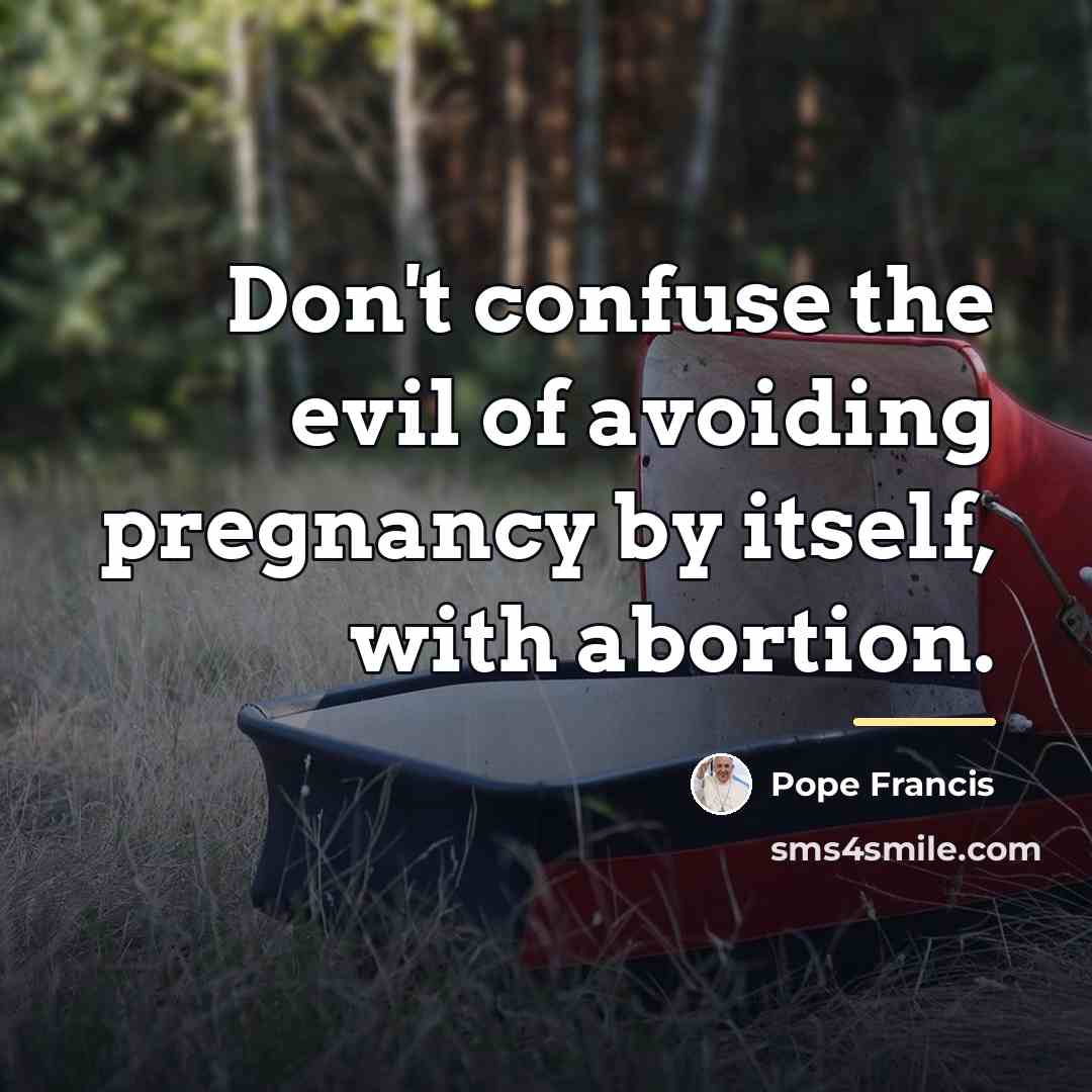 “Don't confuse the evil of avoiding pregnancy by itself, with…” quote by Pope Francis