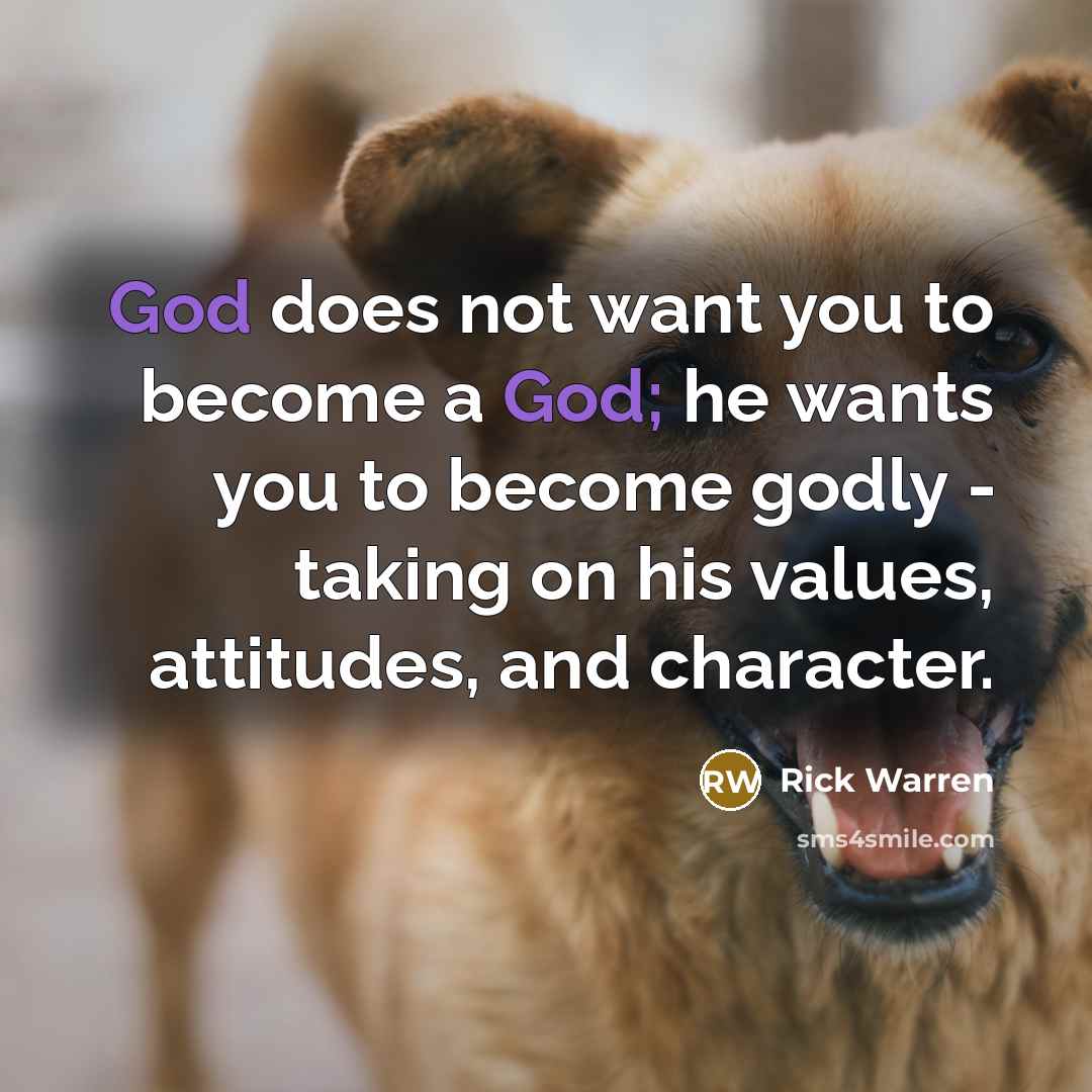 “God does not want you to become a God; he…” quote by Rick Warren