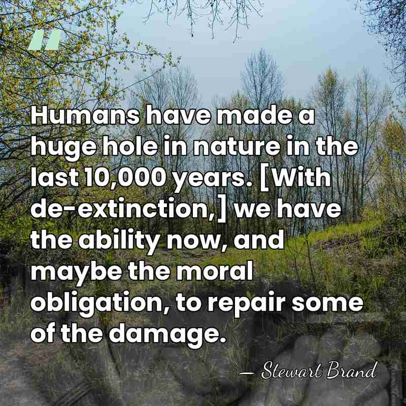 Humans have made a huge hole in nature in the last 10,000&hellip; - Stewart Brand