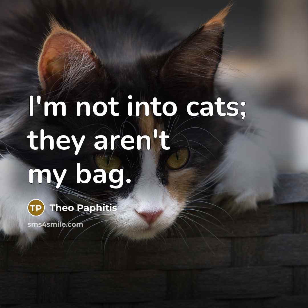 “I'm not into cats; they aren't my bag.…” quote by Theo Paphitis