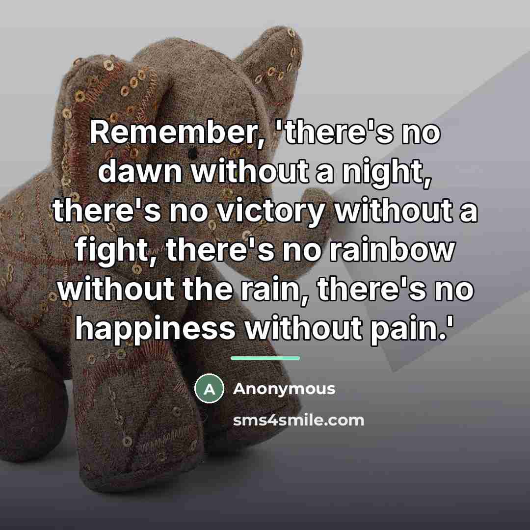“Remember, 'there's no dawn without a night, there's no victory…” quote by Anonymous