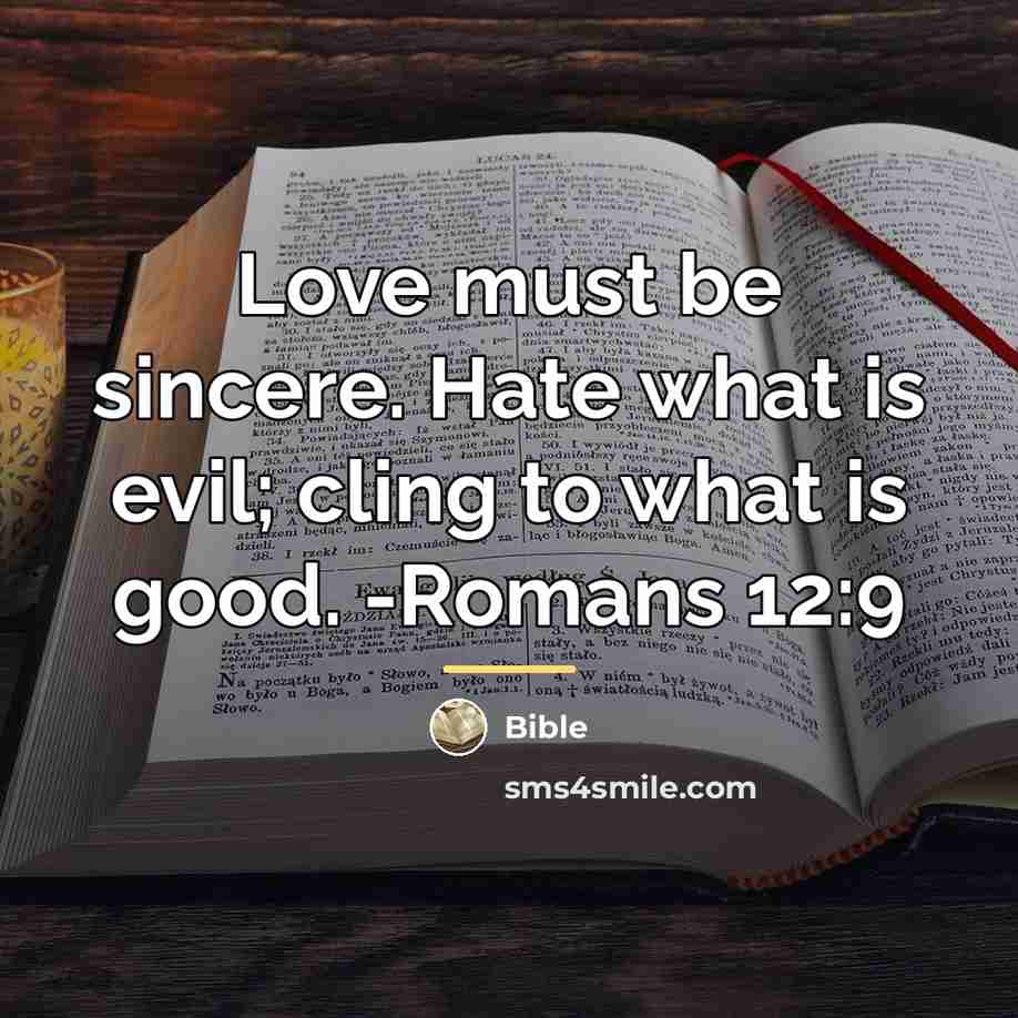 “Love must be sincere. Hate what is evil; cling to…” quote by Bible