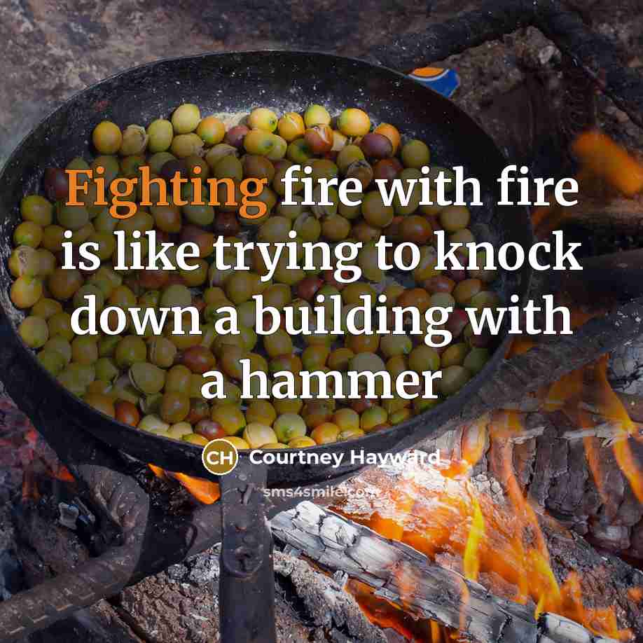 “Fighting fire with fire is like trying to knock down…” quote by Courtney Hayward