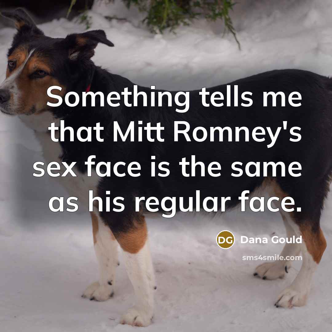“Something tells me that Mitt Romney's sex face is the…” quote by Dana Gould