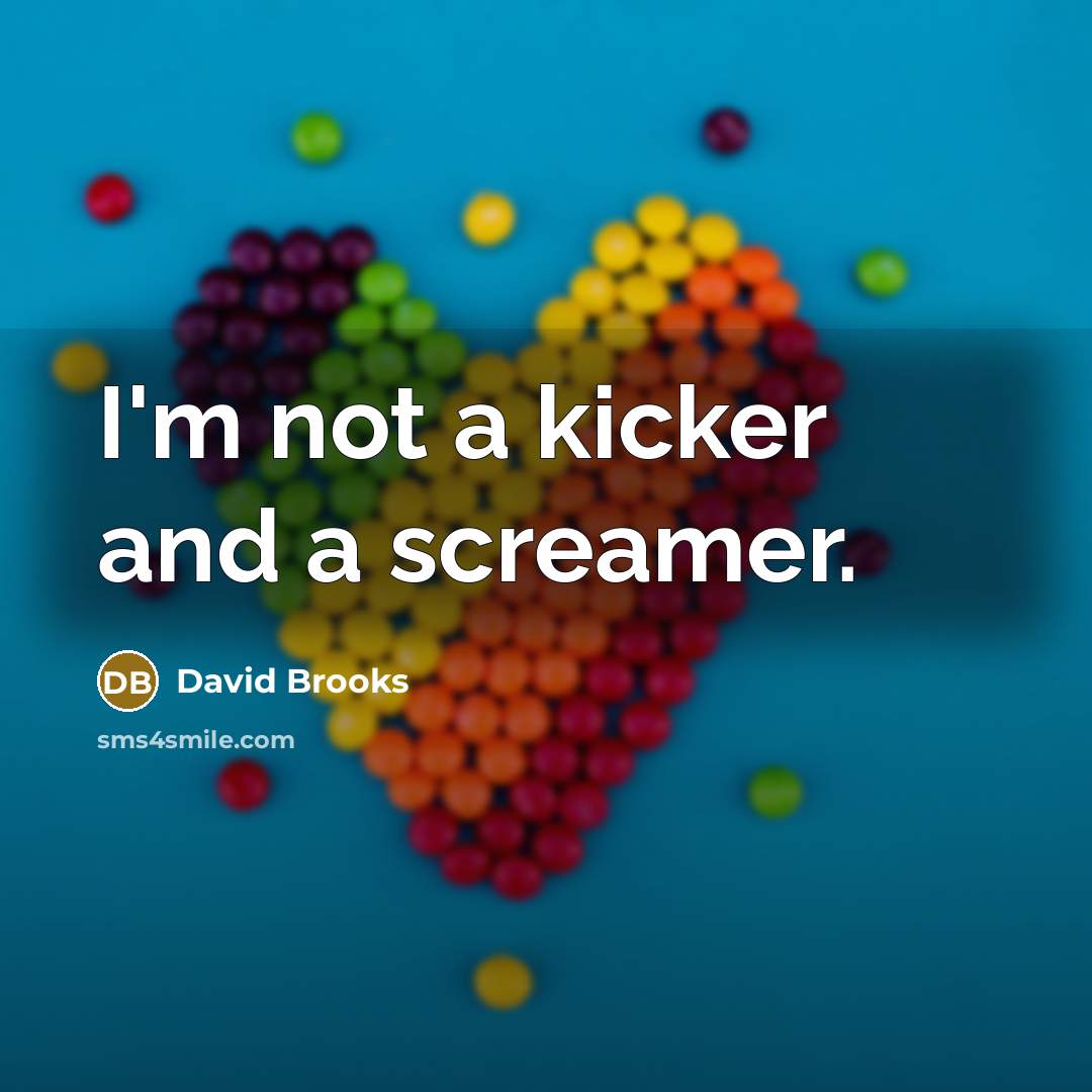 “I'm not a kicker and a screamer.…” quote by David Brooks