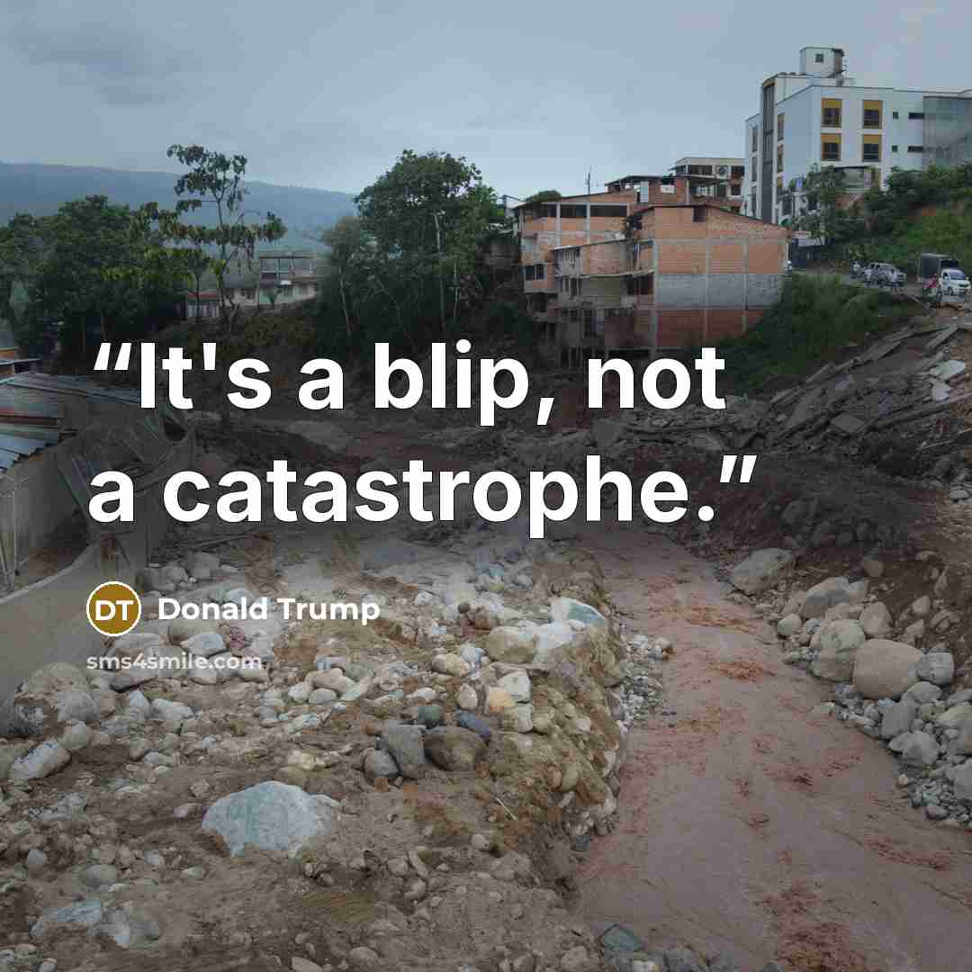 “It's a blip, not a catastrophe.” quote by Donald Trump