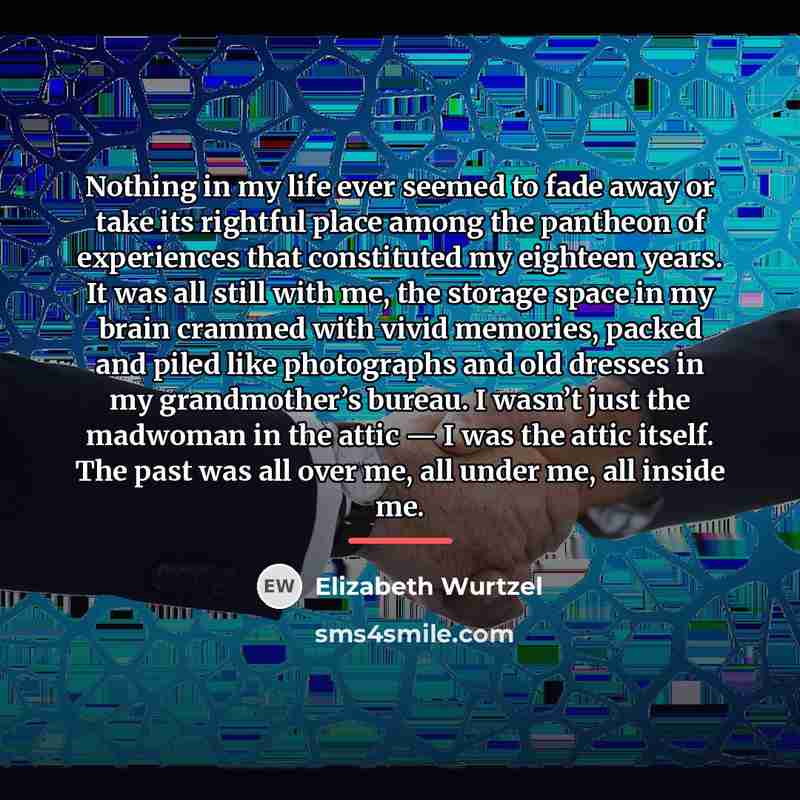 “Nothing in my life ever seemed to fade away or…” quote by Elizabeth Wurtzel