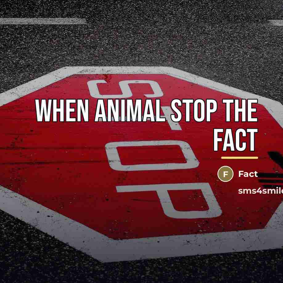 “When animal stop the fact…” quote by Fact
