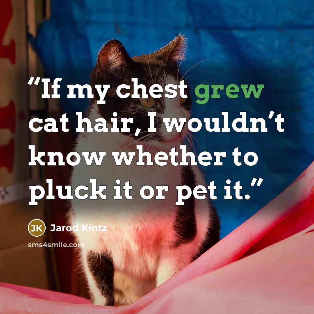 “If my chest grew cat hair, I wouldn’t know whether to pluck it or pet it.” quote by Jarod Kintz