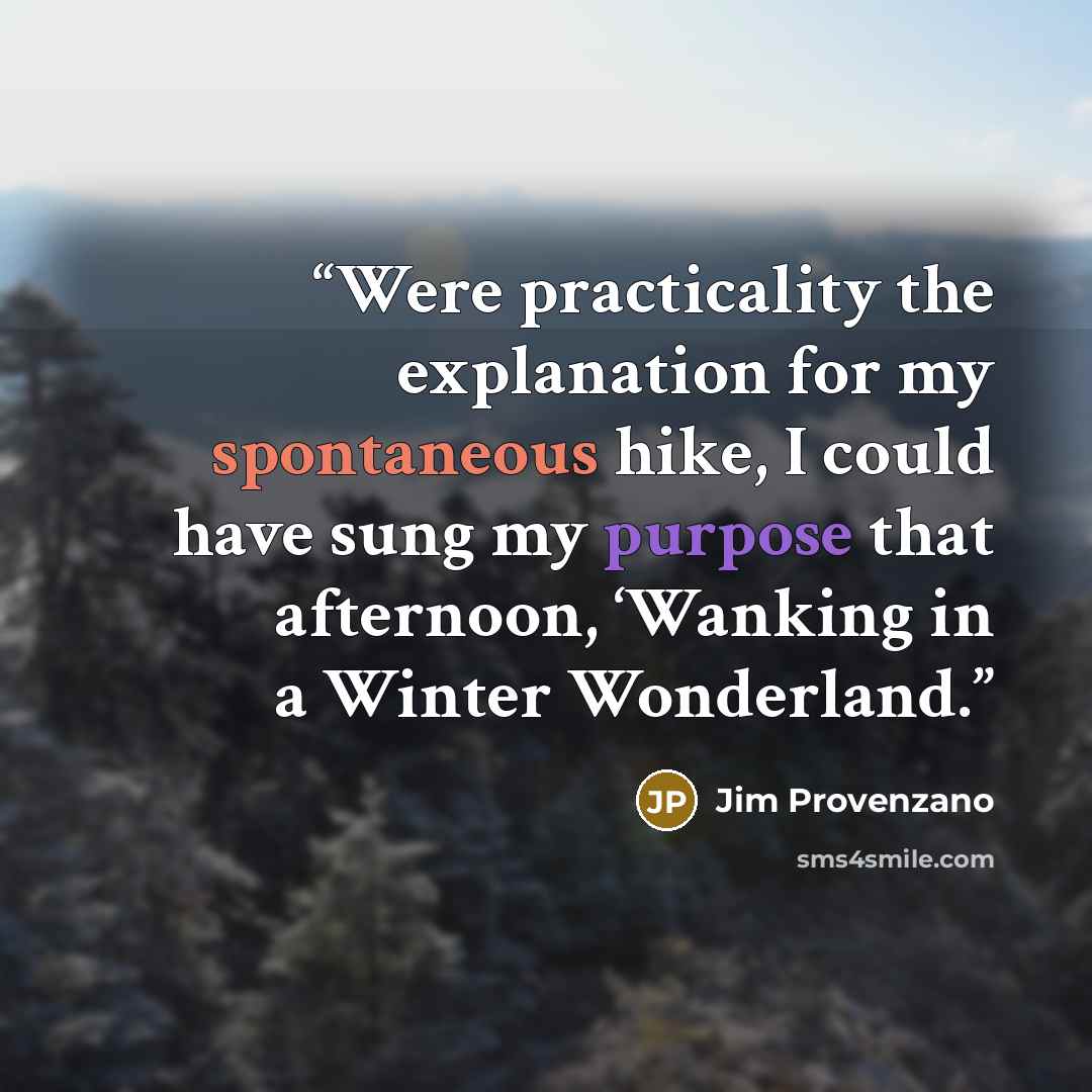 “Were practicality the explanation for my spontaneous hike, I could have sung my purpose that afternoon, ‘Wanking in a Winter Wonderland.” quote by Jim Provenzano