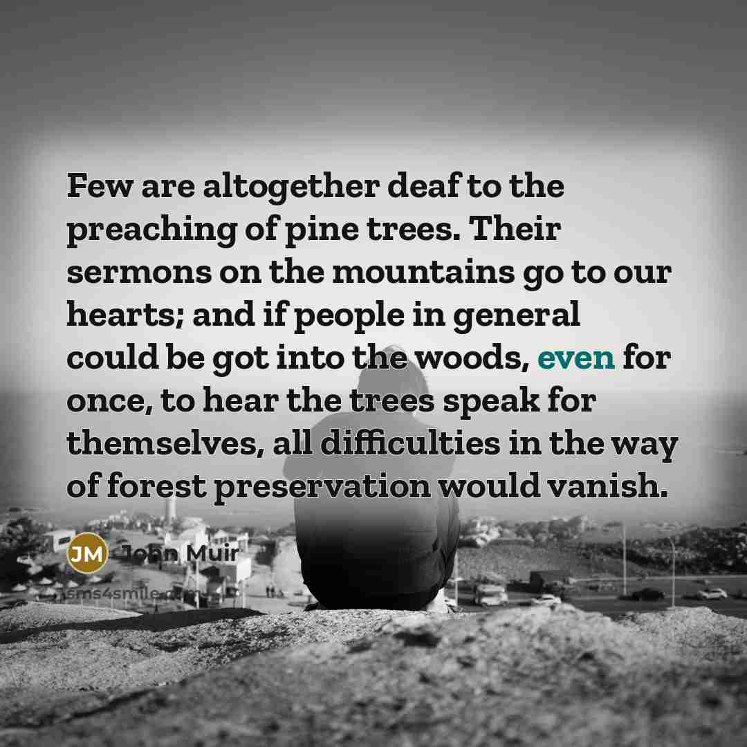 “Few are altogether deaf to the preaching of pine trees.…” quote by John Muir