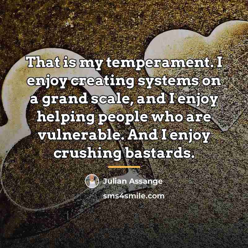 “That is my temperament. I enjoy creating systems on a…” quote by Julian Assange
