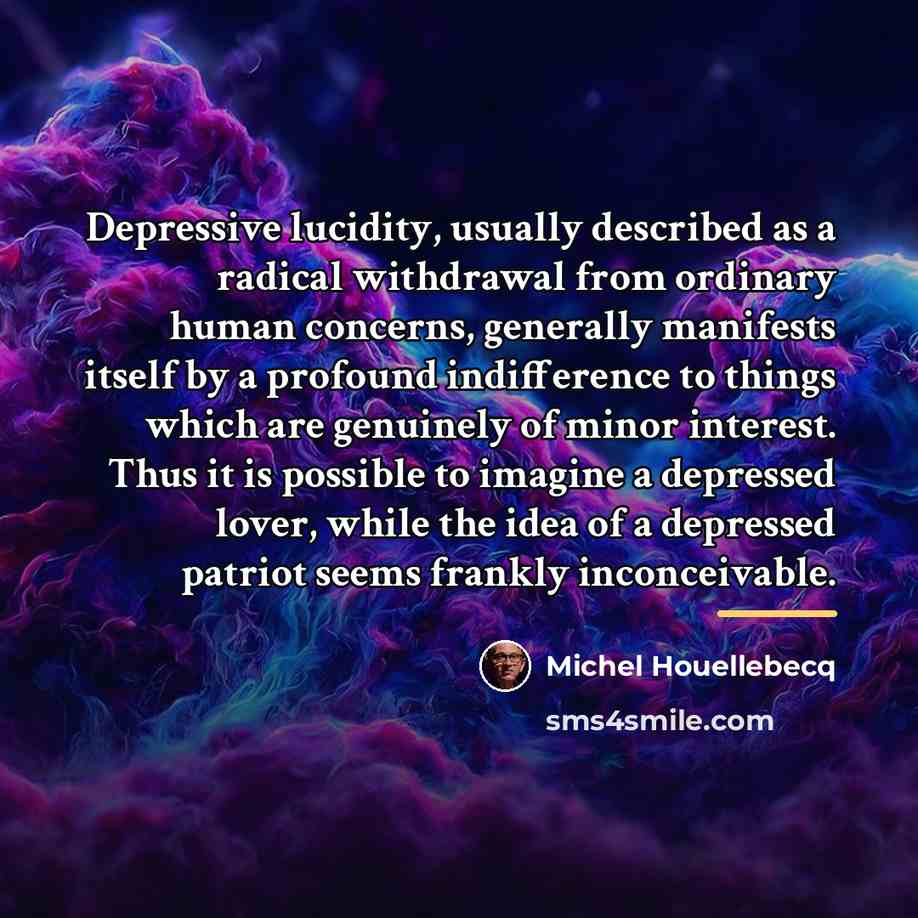 “Depressive lucidity, usually described as a radical withdrawal from ordinary…” quote by Michel Houellebecq