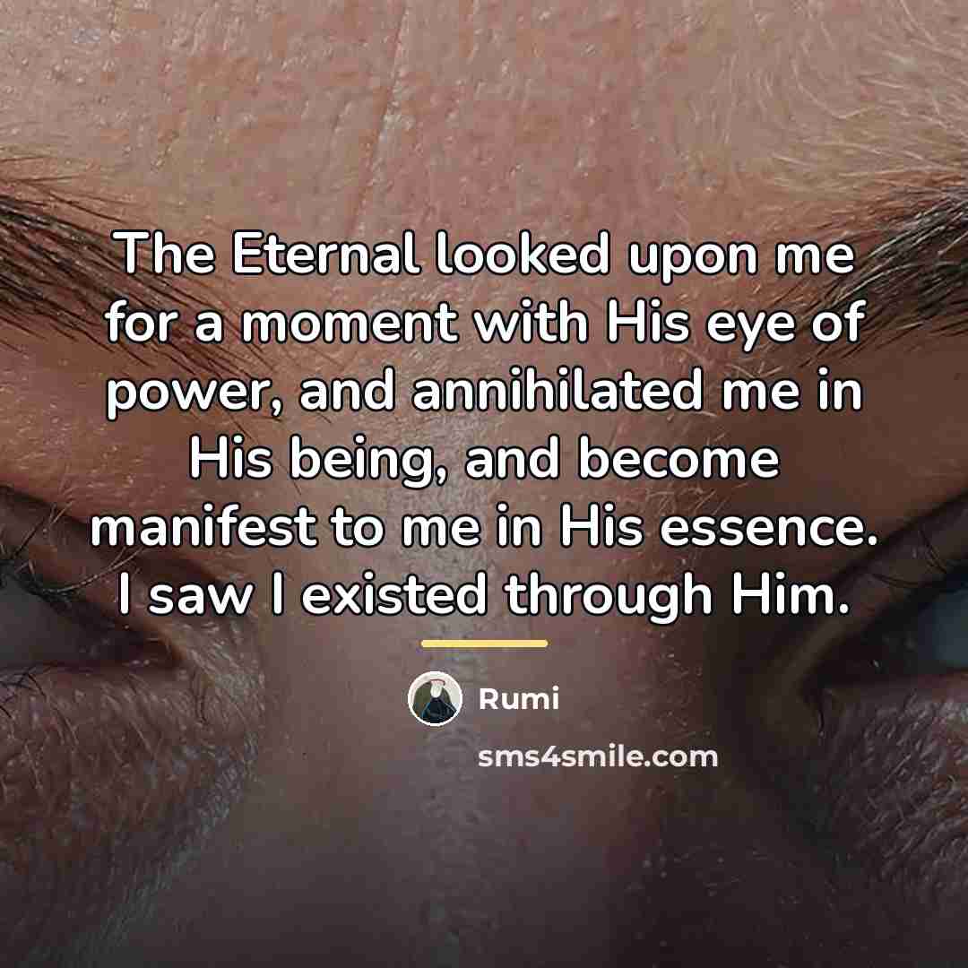 “The Eternal looked upon me for a moment with His…” quote by Rumi